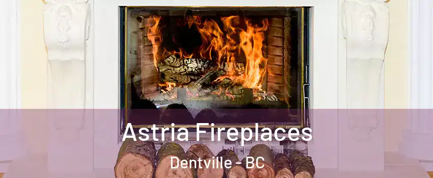  Astria Fireplaces Dentville - BC