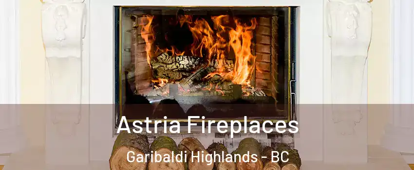  Astria Fireplaces Garibaldi Highlands - BC