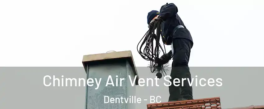  Chimney Air Vent Services Dentville - BC