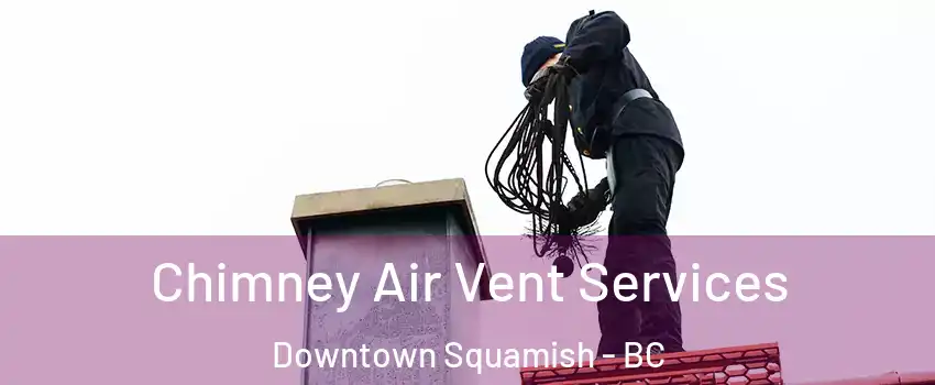  Chimney Air Vent Services Downtown Squamish - BC