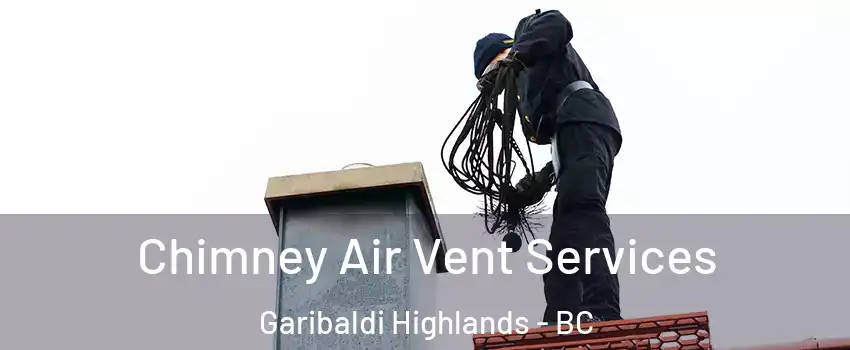  Chimney Air Vent Services Garibaldi Highlands - BC