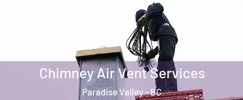  Chimney Air Vent Services Paradise Valley - BC