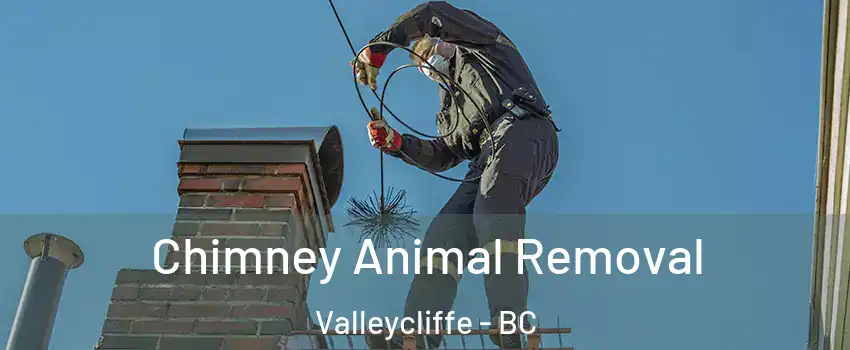 Chimney Animal Removal Valleycliffe - BC