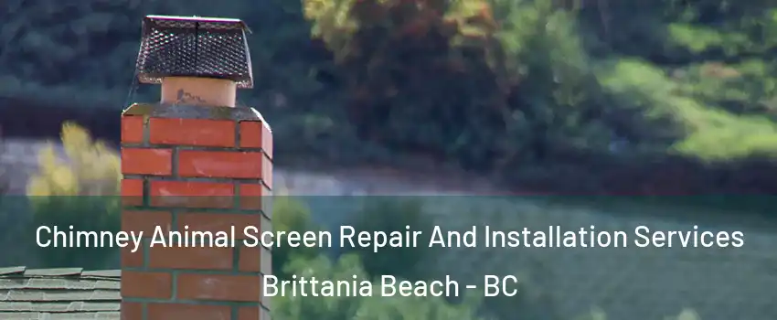  Chimney Animal Screen Repair And Installation Services Brittania Beach - BC
