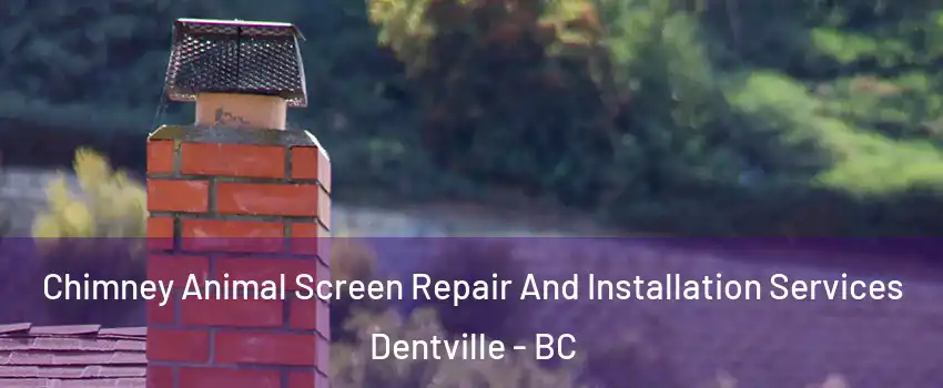  Chimney Animal Screen Repair And Installation Services Dentville - BC