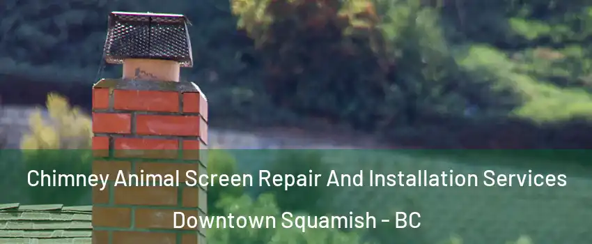  Chimney Animal Screen Repair And Installation Services Downtown Squamish - BC