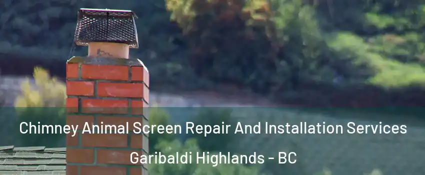  Chimney Animal Screen Repair And Installation Services Garibaldi Highlands - BC