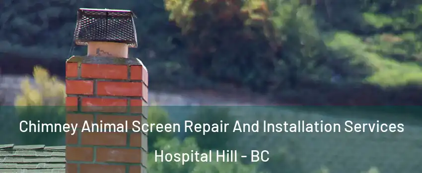  Chimney Animal Screen Repair And Installation Services Hospital Hill - BC