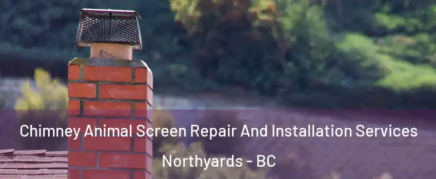  Chimney Animal Screen Repair And Installation Services Northyards - BC