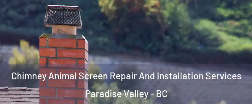  Chimney Animal Screen Repair And Installation Services Paradise Valley - BC