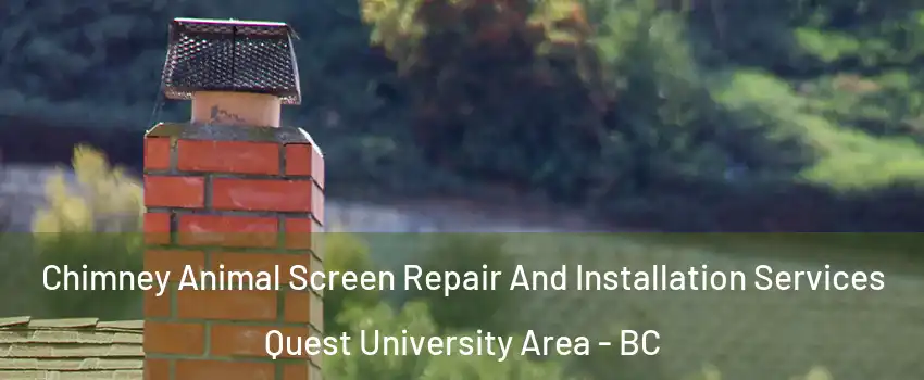  Chimney Animal Screen Repair And Installation Services Quest University Area - BC