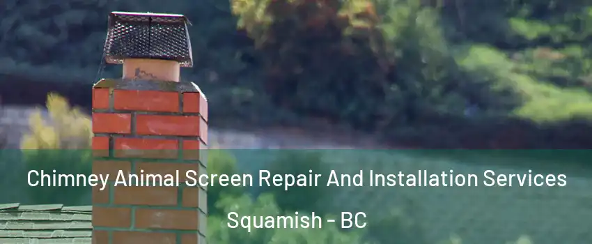  Chimney Animal Screen Repair And Installation Services Squamish - BC