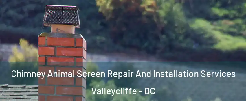  Chimney Animal Screen Repair And Installation Services Valleycliffe - BC