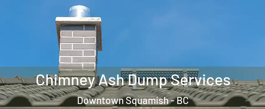  Chimney Ash Dump Services Downtown Squamish - BC