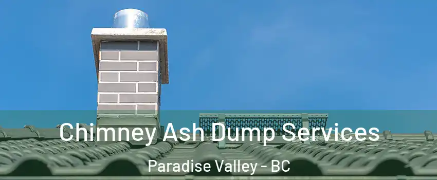 Chimney Ash Dump Services Paradise Valley - BC