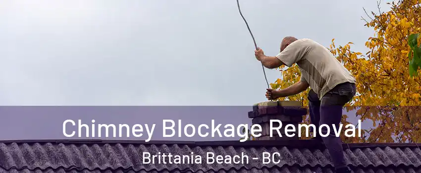  Chimney Blockage Removal Brittania Beach - BC