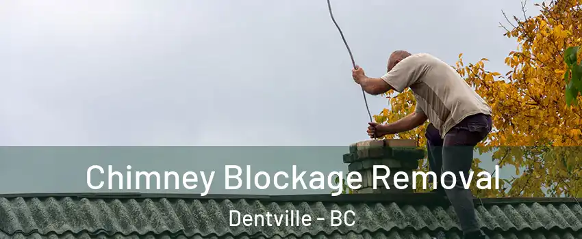  Chimney Blockage Removal Dentville - BC