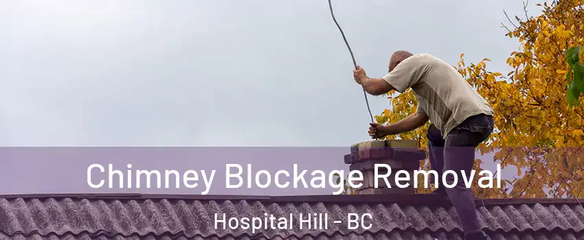  Chimney Blockage Removal Hospital Hill - BC