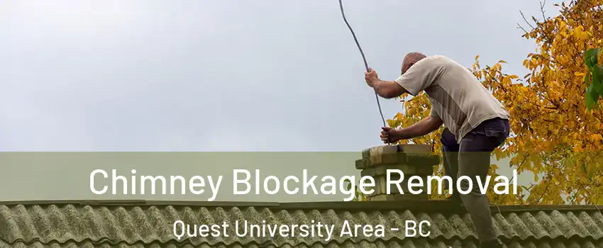  Chimney Blockage Removal Quest University Area - BC