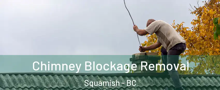  Chimney Blockage Removal Squamish - BC
