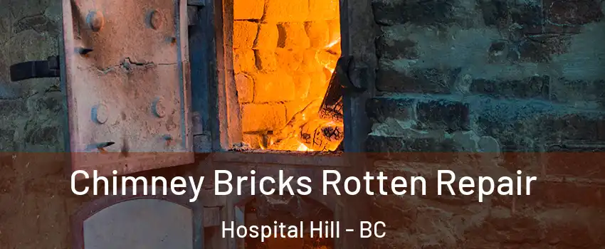  Chimney Bricks Rotten Repair Hospital Hill - BC
