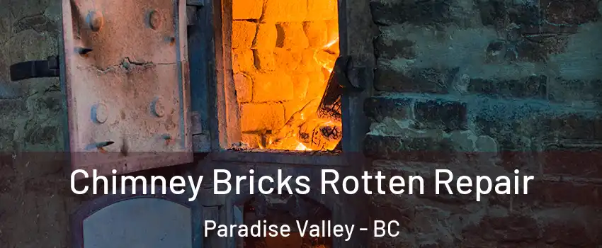  Chimney Bricks Rotten Repair Paradise Valley - BC