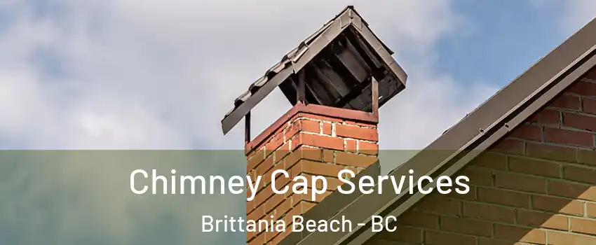  Chimney Cap Services Brittania Beach - BC