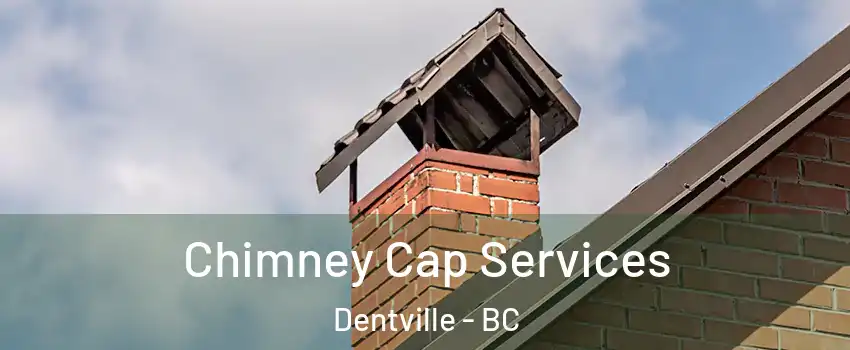  Chimney Cap Services Dentville - BC