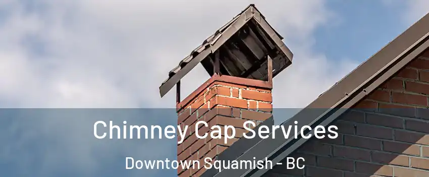  Chimney Cap Services Downtown Squamish - BC