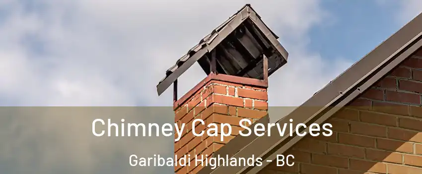  Chimney Cap Services Garibaldi Highlands - BC
