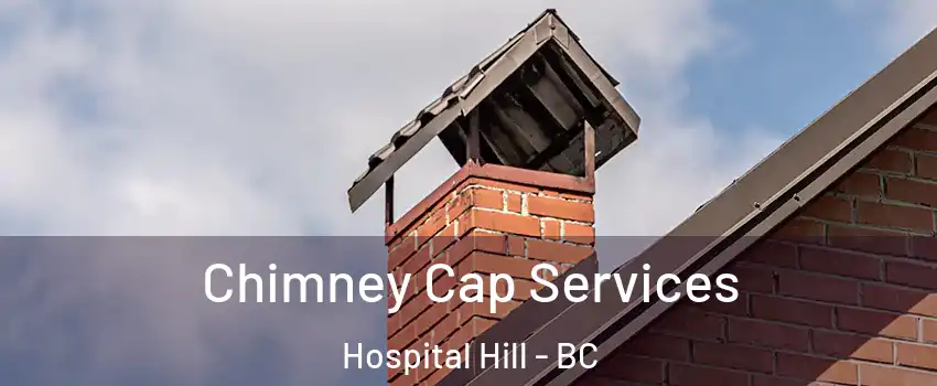  Chimney Cap Services Hospital Hill - BC