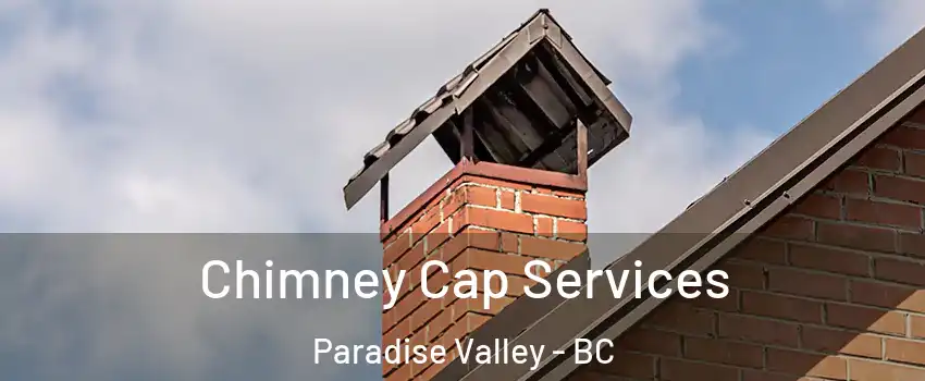  Chimney Cap Services Paradise Valley - BC