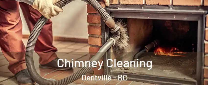  Chimney Cleaning Dentville - BC