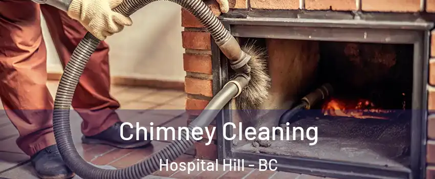  Chimney Cleaning Hospital Hill - BC