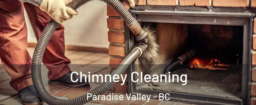  Chimney Cleaning Paradise Valley - BC