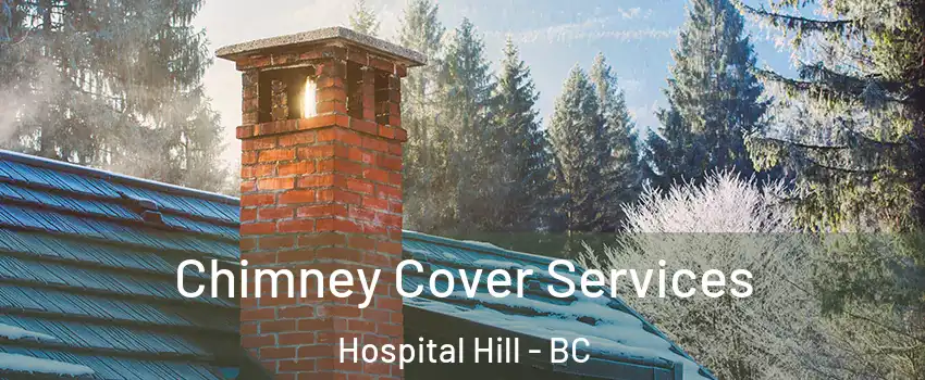  Chimney Cover Services Hospital Hill - BC