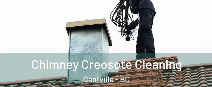  Chimney Creosote Cleaning Dentville - BC