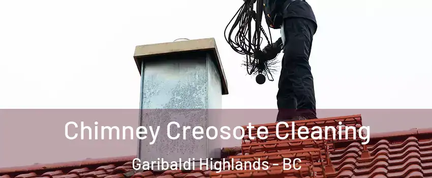  Chimney Creosote Cleaning Garibaldi Highlands - BC
