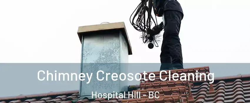  Chimney Creosote Cleaning Hospital Hill - BC