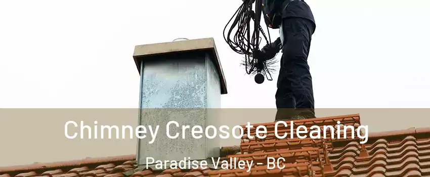  Chimney Creosote Cleaning Paradise Valley - BC