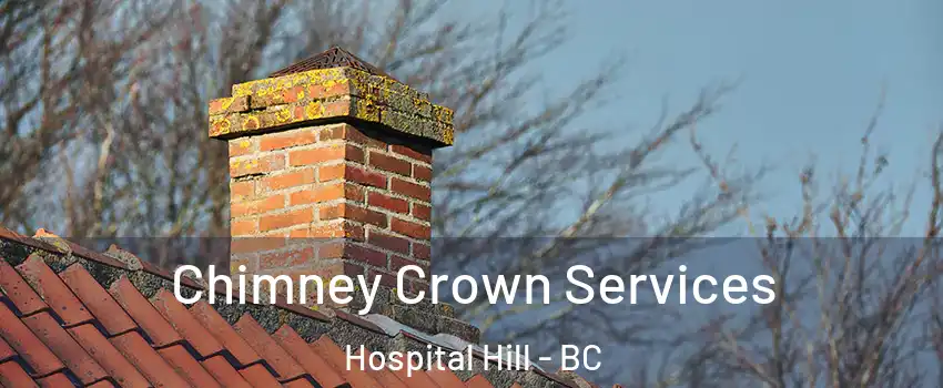  Chimney Crown Services Hospital Hill - BC