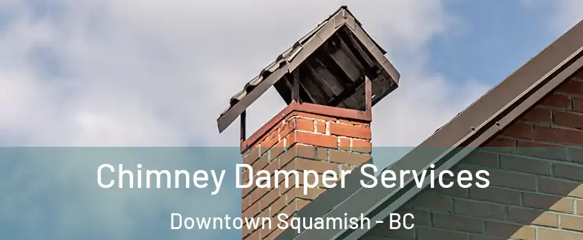 Chimney Damper Services Downtown Squamish - BC