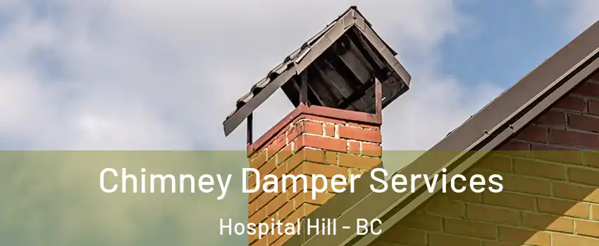  Chimney Damper Services Hospital Hill - BC