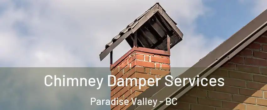  Chimney Damper Services Paradise Valley - BC