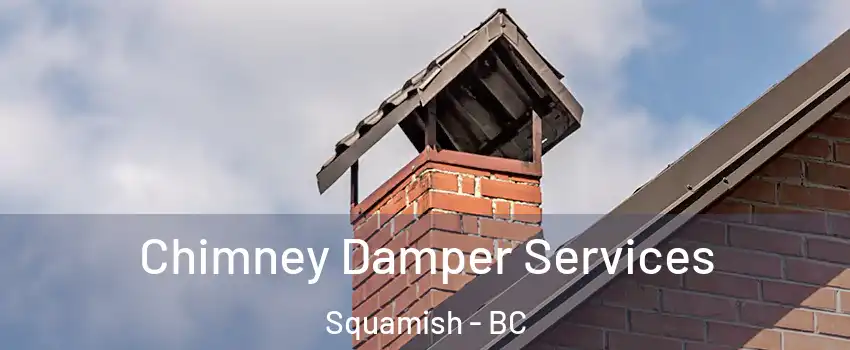  Chimney Damper Services Squamish - BC