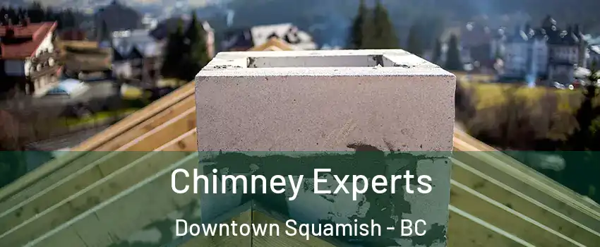 Chimney Experts Downtown Squamish - BC