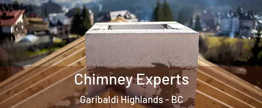 Chimney Experts Garibaldi Highlands - BC