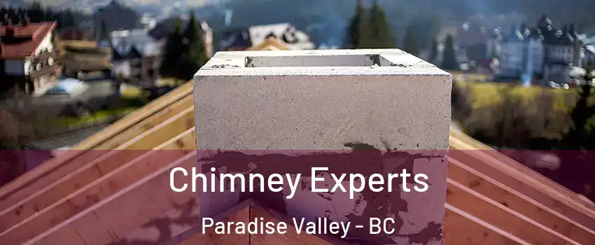 Chimney Experts Paradise Valley - BC