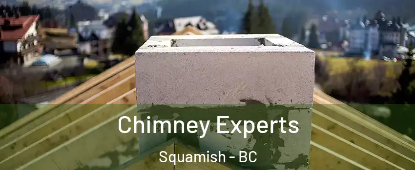 Chimney Experts Squamish - BC