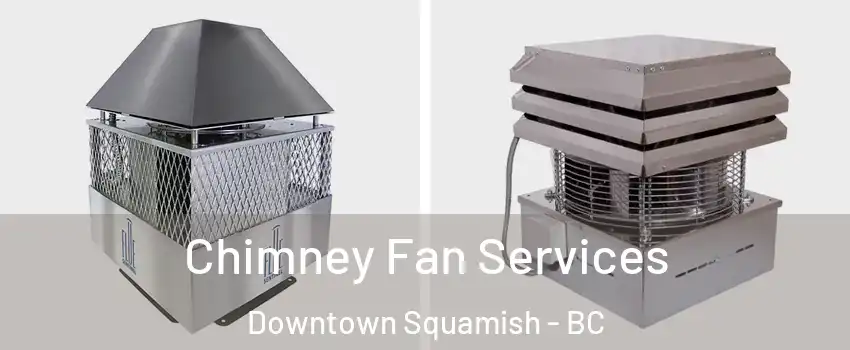  Chimney Fan Services Downtown Squamish - BC